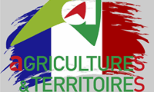 Informations sur la dermatose