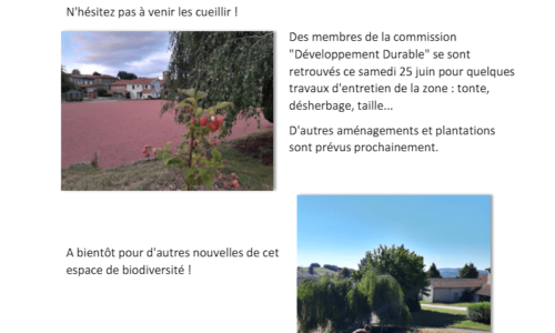 Commission Développement Durable
