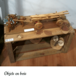 Exposition sur la forêt à la Maison de Pays de St-Martin en Haut