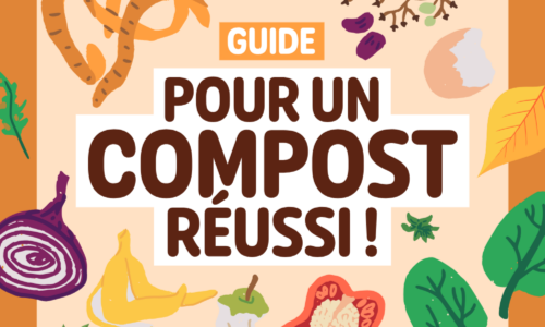 Guide pour un compost réussi