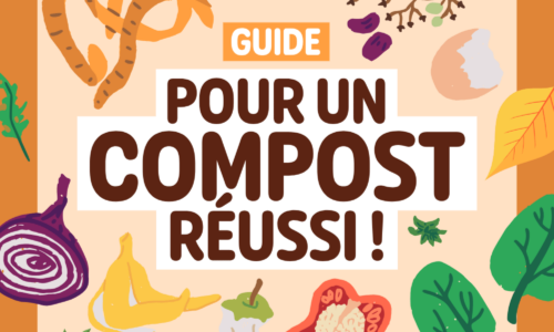 Guide pour un compost réussi