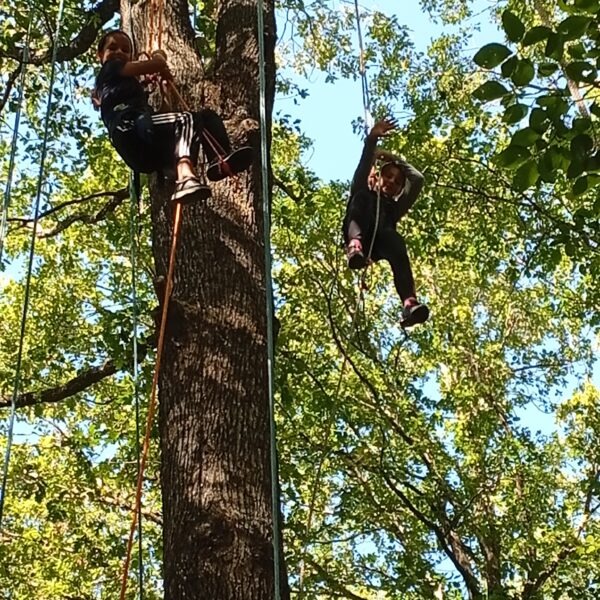 IMG_20250919_150845-1