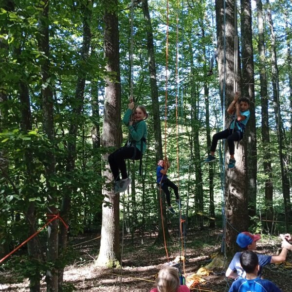 IMG_20250919_151456-1