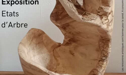 Exposition  » Etats d&rsquo;arbre »