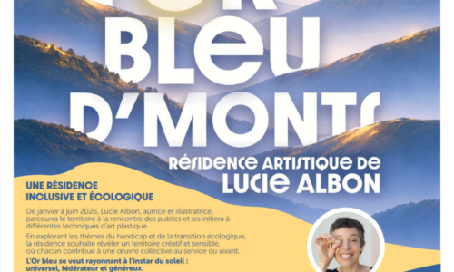 Résidence artistique « L&rsquo;Or bleu D&rsquo;Monts » en cours dans le réseau des bibliothèques….