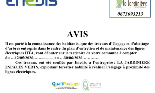 Travaux d&rsquo;élagage et d&rsquo;abattage d&rsquo;arbres
