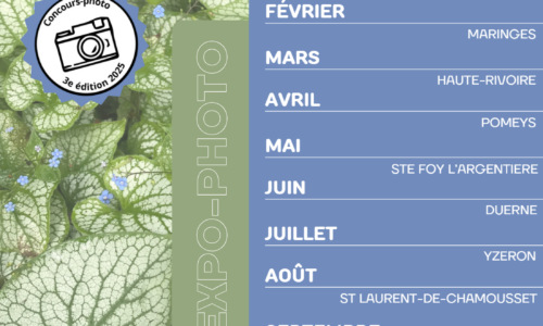 Exposition de photos