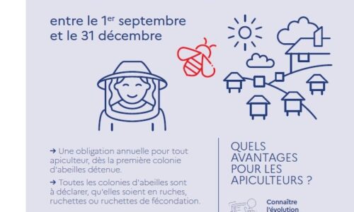 Déclaration de ruches