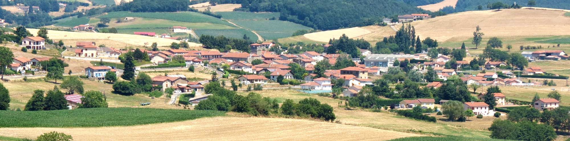 Duerne - Vue du village l'été